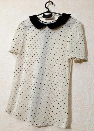 Zara basic брендовая блузка белая женская чёрные горошки кофточка летняя на спинке застёжка пуговицы