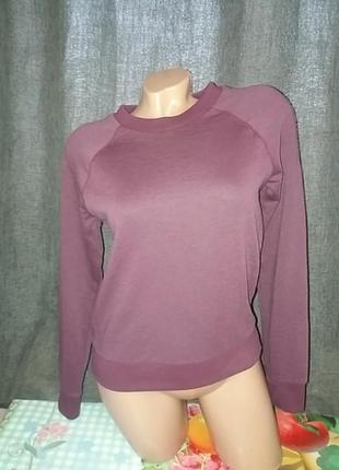 Реглан divided