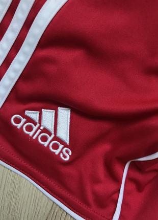Футбольна футболка red bulls salzburg adidas форма шорти m-l5 фото