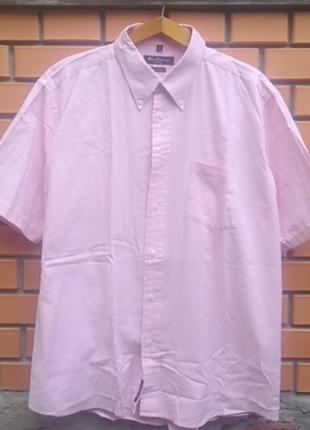 Сорочка рожевого кольору від відомого бренду ben sherman оригінал
