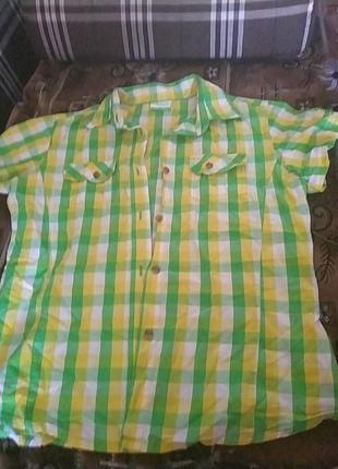 Яскрава сорочка в клітку, з коротким рукавом kilimanjaro