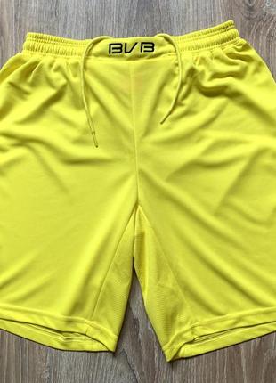 Чоловічі колекційні спортивні шорти borussia dortmund
