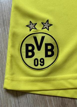 Мужские коллекционные спортивные шорты borussia dortmund5 фото