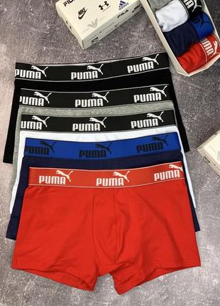 Набор мужских трусов puma комплект нижнего белья 5 штук с подарочной коробкой10 фото