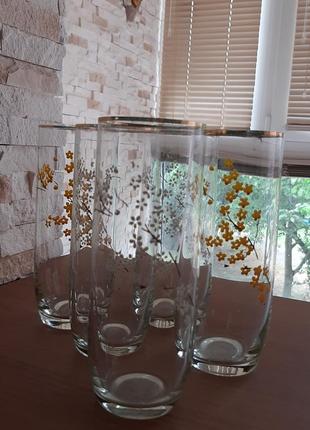 Ніжні склянки .