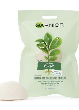 Конжак губка коняку garnier1 фото