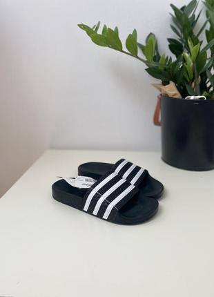 Шлепанцы adidas slippers