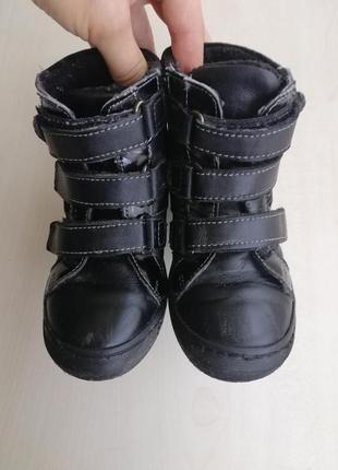 Кожаные демисезонные ботинки stups р.26.2 фото