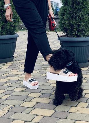 Шлёпки  rich 🎀🛍