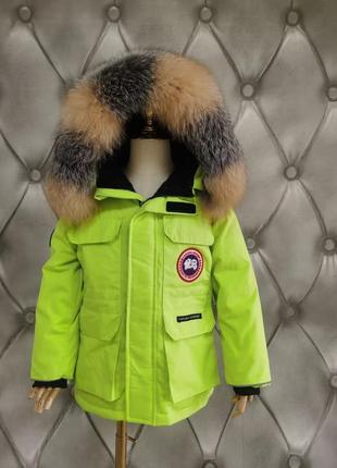 Зимова парку пуховик canada goose