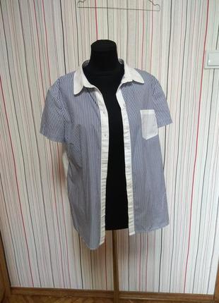 Блуза рубашка в полоску,полосатая блузка,летняя рубашка в полоску3 фото
