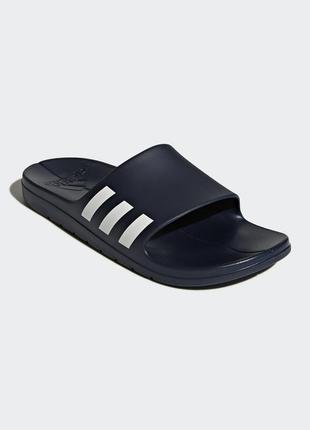 Шлепанцы мужские adidas aqualette cg35375 фото