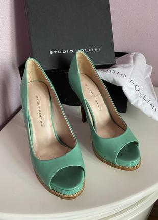 Туфлі studio pollini