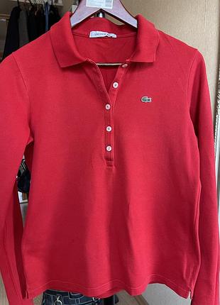 Лонгслив lacoste 2
