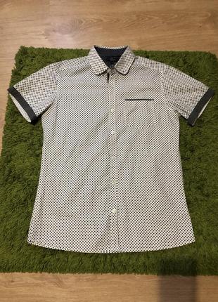 Ткніска чоловіча