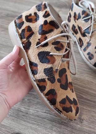 Черевики туфлі шкіряні ботильйони леопардові