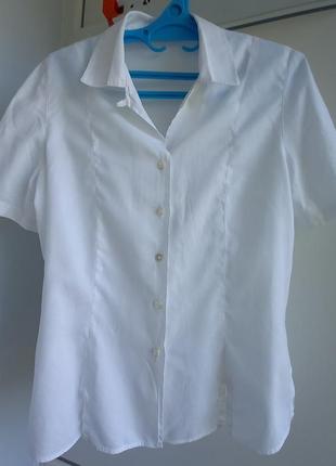 Van laack рубашка с коротким рукавом