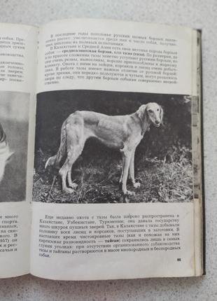 Книга о собаководстве4 фото