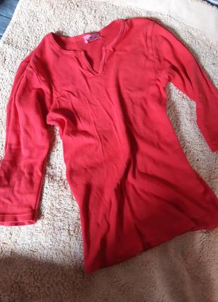 Кофта, светр