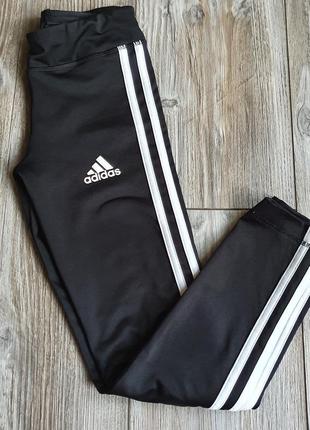 Штани  adidas " training eguipment ор-л 8-9л 134р3 фото