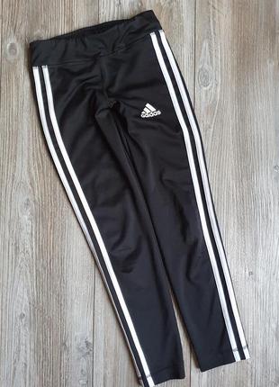 Штани  adidas " training eguipment ор-л 8-9л 134р4 фото