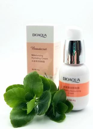 Bioaqua hydrating moisturizing cream concealer 40г