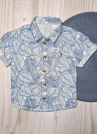 Гарна сорочка хлопчикові matalan, розмір 92