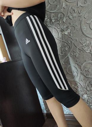 Шорты. adidas xs