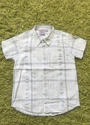 Теніска 4-5 років