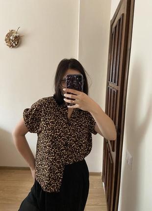 Леопардова сорочка