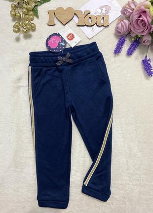 Штани, штанці, джогеры, осінні штани