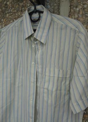 Сорочка з коротким рукавом (теніска) m в смужку