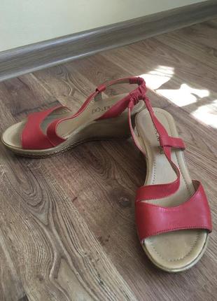 Туфлі, каблуки