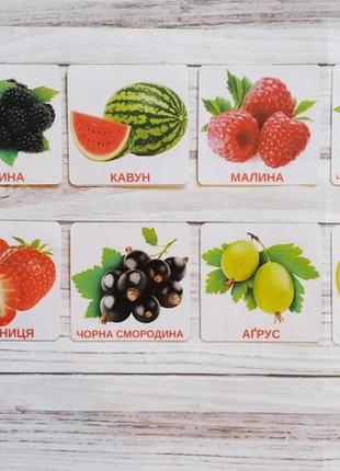 Карточки домана ягоди