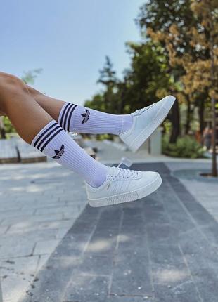 Кеді самба 7