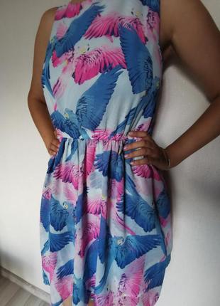 Яскрава сукня h&m