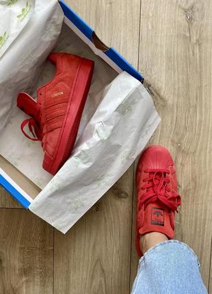 Шикарні жіночі кеди adidas superstar london червоні6 фото
