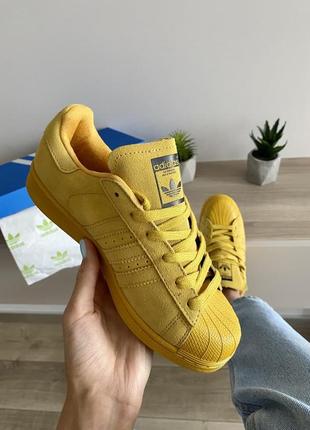 Шикарные женские кеды adidas superstar желтые4 фото