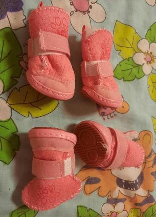 Угги  для собачки