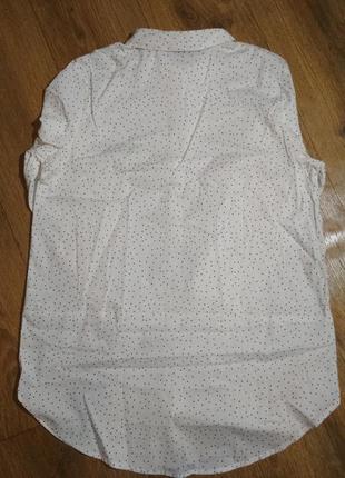 Батал! стильная удлиненная рубашка в горошек esmara, р. 443 фото
