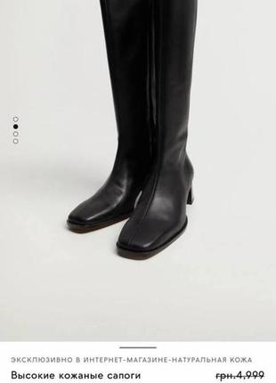 Жіночі шкіряні чоботи ботфорти високі чоботи чорні ботфорти mango4 фото