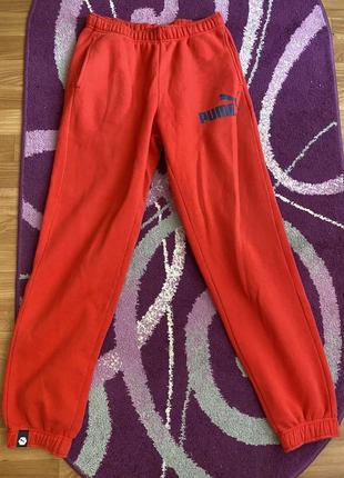 Спортивные штаны puma