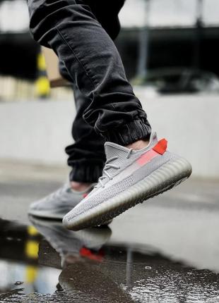 Кроссовки мужские adidas yeezy boost 350 tali light9 фото