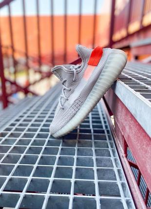 Кросівки adidas yeezy boost 350 v2 "tail light" 💥