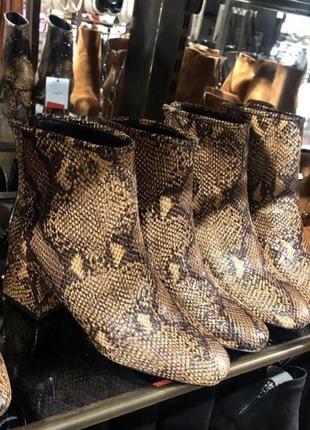 Черевички в зміїний принт bershka 🐍2 фото