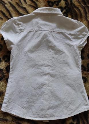 Блузка для дівчинки 6-7л3 фото