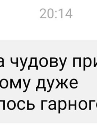 Іменний силіконовий тримач для соски з гризунцем5 фото