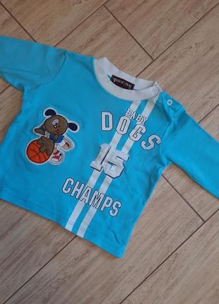 Коіточка  movine