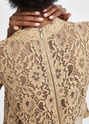 Zara блуза з змійкою на спині3 фото