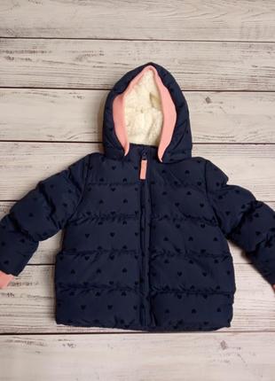 Куртка topomini